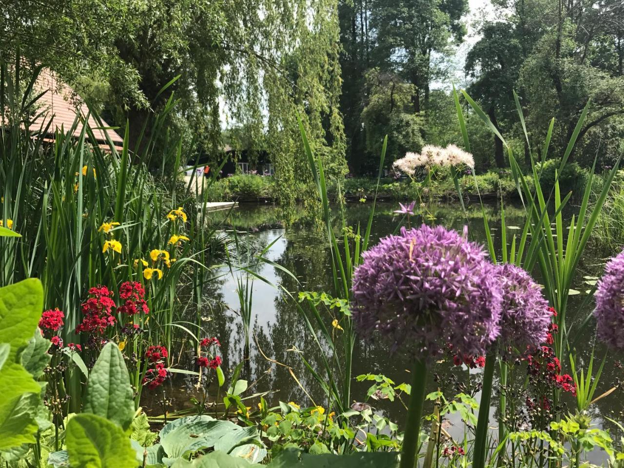 Ferienwohnungen Direkt Am Wasser Burg im Spreewald Eksteriør billede